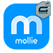 Gravity Forms Mollie Payment Add-On